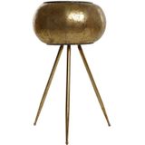 Blumentopf Home ESPRIT Gold Metall Moderne 38 x 38 x 68 cm