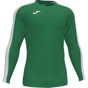 Joma Academy III Voetbalshirt Lange Mouw Heren - Groen Wit