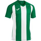 Joma Pisa II Shirt Korte Mouw Heren - Groen / Zwart | Maat: XL