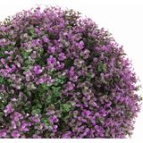 Decoratieve plant  Klot Lavendel 20 x 20 x 20 cm