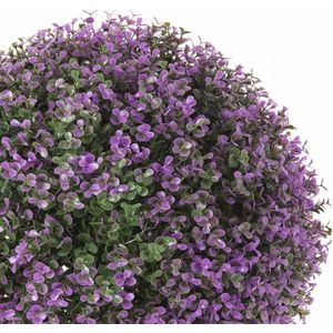 Decoratieve plant  Klot Lavendel 20 x 20 x 20 cm