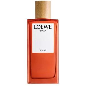 Loewe Solo Mercurio Herenparfum 50 ml