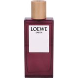 Loewe Earth Eau de Parfum 100 ml