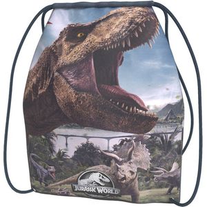 Jurassic World - Gymtas - Zwemtas - Dinosaurus - T Rex - Tyrannosaurus rex - 43 cm - Dino
