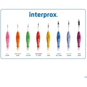 Interprox - Prem.Maxi Ragers - Paars - 6 Stuks