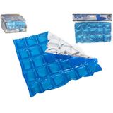 Herbruikbare flexibele koelelementen - icepack/ijsklontjes - 28 x 25 cm - blauw