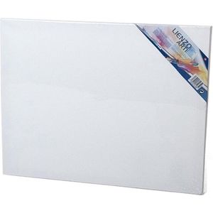 Canvas schildersdoek 50 x 40 cm rechthoekig - hobby verven/schilderen - DIY schilderijen maken