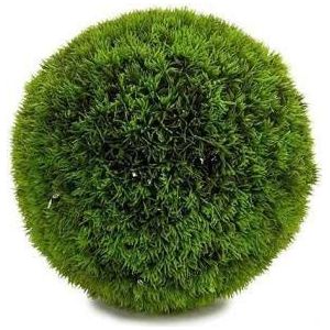 Decoratieve plant groen kunststof (16 x 16 x 16 cm)