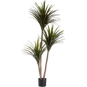 Decoratieve plant Ibergarden BRS-ADE181 Plastic IJzerdraad Smal mes 80 x 200 x 105 cm