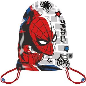 Spiderman Gymtas - Zwemtas - Lunchtas - Rugzak - 43 cm