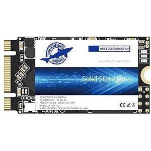 Dogfish SSD M.2 2242 500GB Ngff Desktop Computers Inside Actuator Solid High Performance Hard Disk Drive Includes One 120GB 240GB 250GB 480GB SSD (500GB, M.2 2242)
