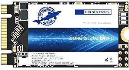 Dogfish - M.2 2242 SSD - 1TB - SATA III - Interne Solid State Harde Schijf