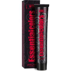 Postquam Professional Hairdressing Color 9.16