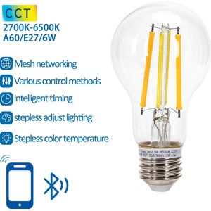 Aigostar - LED Lamp - Bluetooth Mesh - E27 - 6W - A60 - Bolvormig - Filament