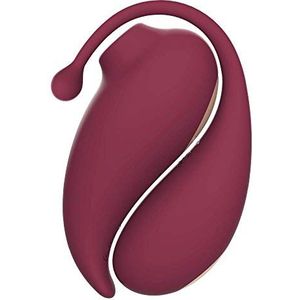 Inspiration Bluetooth APP Vibrating Egg with Clitoris Sucker and Stimulator