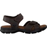 Panama Jack Heren Sandalen Sanders - Bruin