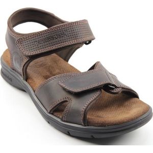 Panama Jack Sanders Basics C1 sandalen napa grass marron brown