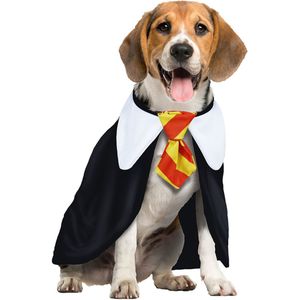 Fiestas Guirca - Magic Student Kostuum - Halloween - Voor Hond