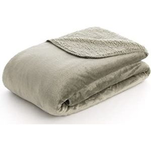 Foulard - Multicolor - Zijde