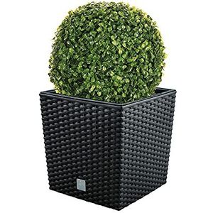 WellHome Bloempot Set Rato 32 liter met plantenbak in antraciet 32 x 32 x 32,5 cm + buxusbal Ø 27 cm