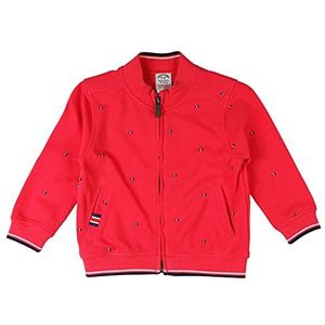 Charanga Ramirena sweatshirt voor baby's, Azul Y Amarillo, 6-9 Maanden