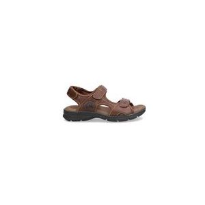 Panama Jack, Flat Sandalen Bruin, Heren, Maat:43 EU