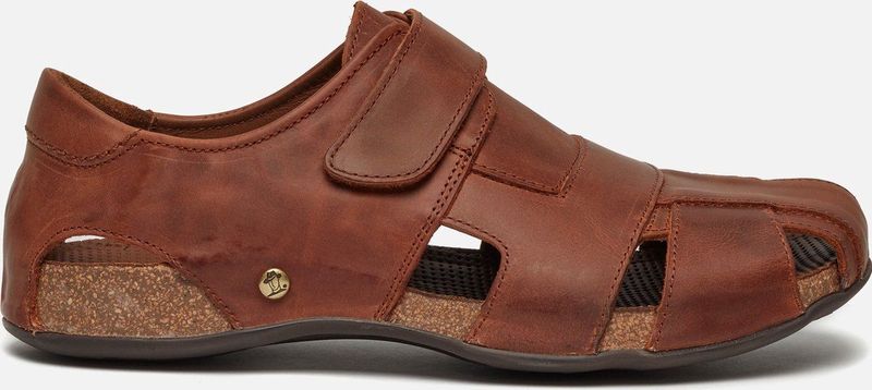 Panama Jack, Heren, Schoenen, Bruin, Maat: 41 EU