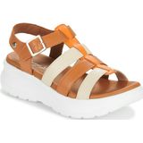 Panama Jack - NAILA COLORS B2 - Sandalen - Bruin