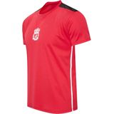 Liverpool FC voetbalshirt heren