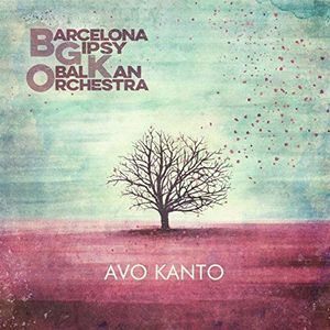 Barcelona Gipsy Balkan Orchestra (Bgko) - Avo Kanto