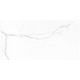 Vloertegel statuario mat 30x60 rett
