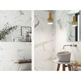 Vloertegel statuario mat 30x60 rett