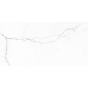 Cifre Ceramica Statuario wand- en vloertegel - 30x60cm - 9mm - Rechthoek - gerectificeerd - Marmerlook - Wit/zwart mat SW07310846