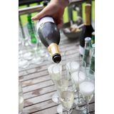 Vicrila - Chardonnay - Wijnglazen - Transparant - 310 ml - 6 stuks