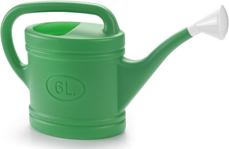 PlasticForte Gieter met broeskop - groen - kunststof - 6 liter - 53 x 15 x 32 cm