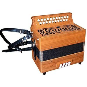 Accordeon schouderbanden, verstelbare accordeonriem, PU-leer, lederen schouderriem voor accordeon 16-120 bas, 4 kleuren, modern design, handig voor concerten, repetities en straatoptredens