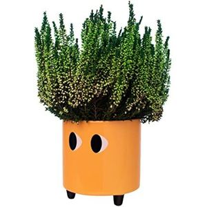 Fisura - Decoratieve plantenbak met ogen. Originele bloempot voor binnen. Pot met pootjes voor cactus. Keramische bloempot. Afmetingen: 13 x 12,5 cm. (Oranje)