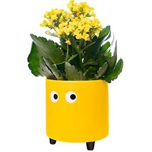 fisura. - Originele bloempot met oogmotief. Bloem- en plantenpot. Decoratieve plantenbak voor binnen. Gele keramische pot voor bloemen en vetplanten. 13 x 12,5 cm.