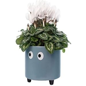 fisura. - Originele bloempot met oogmotief. Decoratieve plantenpot voor binnen en buiten. Blauwe keramische pot voor bloemen en vetplanten. 13 x 12,5 cm.