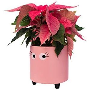 fisura. - Originele bloempot met oogpatroon. Bloempot en decoratieve plant. Decoratieve plantenbak voor binnen, roze keramische pot voor bloemen en vetplanten.13 x 12,5 cm.