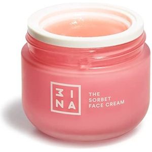 3INA - The Sorbet - Vochtinbrengende Crème - Met Niacinamide - Gezichtscrème Dag en Nacht Voor Alle Huidtypes