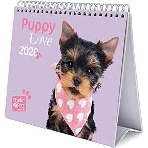 Erik® Studio Pets Dogs Deluxe tafelkalender 2020 (17x20 cm)