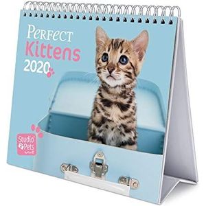 Erik® Studio Pets Cats Deluxe tafelkalender 2020 (17x20 cm)