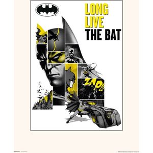 DC COMICS BATMAN - Art Collector Print 30x40 cm