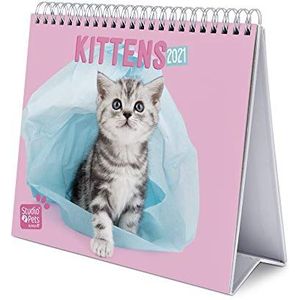 Grupo Erik Erik - Studio Huisdieren Katten 2021 Bureau Kalender - Desktop Kalender 2021 CS21012