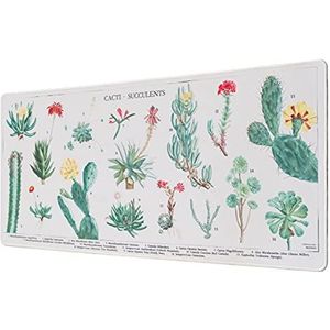 Grupo Erik Kokonote - XXL Muismat Botanische Cactus - Bureaumat 80 x 35 cm | Bureauonderlegger, Gaming-muismat, Gaming-bureaumat, decoratie voor kantoor