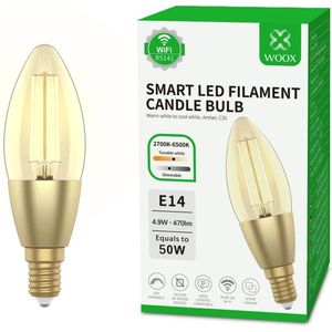 WOOX - E14 LED Lamp - Warm Wit - Filament - Slimme Verlichting
