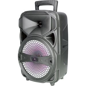 Bluetooth speaker Model NF 4089 2400mAh/20W/8inch | Bluetooth Speaker bruikbaar met microfoon, met LED, USB, SD-kaart en FM-radio | MP3 Speler Speaker