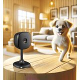 Indoor smart camera | WOOX R4208