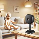 Indoor smart camera | WOOX R4208